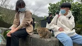 Pingxi rail 🚂: Aldea de gatos Houtong 🐈, catarata Shifen, y &ldquo;sky laterns&rdquo; (linternas de fuego)🎐