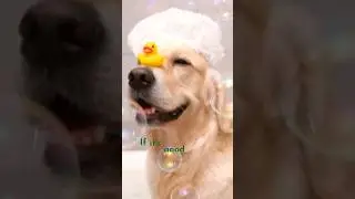 Happy National Bubble Bath Day!!!