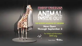 Science Museum of Virginia, BODY WORLDS: ANIMAL INSIDE OUT