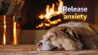 Release Anxiety in 5 MINUTES &ndash; Soft Healing Music and Video | Instructions in description!!!