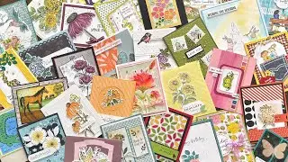 40+ &ldquo;Color Me Impressed&rdquo; Card Ideas | The Great, Big Card Swap: January 2026, Part 2