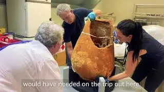 HMS Pandora Olive Oil Jar | Museum of Tropical Queensland