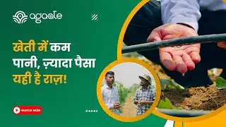 Drip Irrigation: समझिए खेती का स्मार्ट तरीका | Farming | Smart Farming | Agri Tech | Kheti | Kisaan