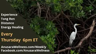 1/29 - Thursday Weekly Tongren Distance Healing Session