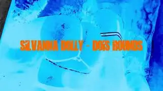 Silvanna Dolly - Dois Rounds #freestyle [Official Visualizer]