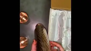 Indian Art Villa (Copper Bottle n Glass) www.Indian art villa.com #copper #unbox #natural #healthy😇