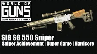 WOG - SIG SG 550 Sniper (Sniper Achievement | Super Game | Hardcore) World Of Guns: Gun Disassembly