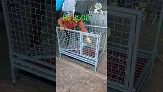 3&times;2&times;2 feet foldable dog cage ☎️8590830442