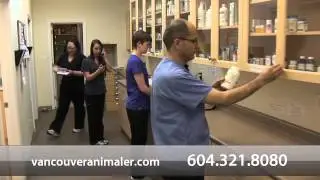 Welcome to Intercity Animal Emergency Clinic
