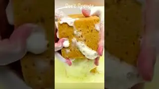 ASMR Cube Sponges x Dish Soap