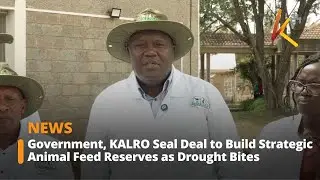 Government, KALRO Seal Deal to Build Strategic Animal Feed Reserves as Drought Bites