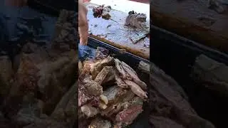 se come asado siempre que se va a pescar
