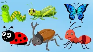 Insects Name | Name of Insects Basic English Learning | Learn Insects Name in English
