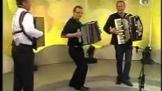 Marijan Herceg, Smiljan Greif & Gunther Lerch - Na Golici