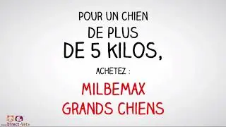 Posologie vermifuge Milbemax &agrave; croquer