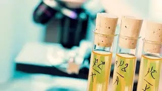 Common Food Additives & Their Effect on Health