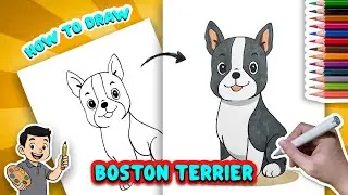 How to Draw a Boston Terrier Puppy | Step by Step Tutorial