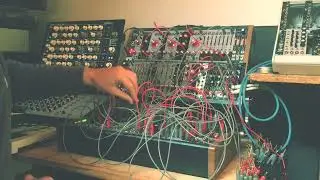Feedback Eurorack / Verbos / Toppobrillo