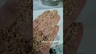 Expanded wheat bran machine deep processing equipment
