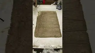 ASTONISHING Timelapse Of A Full Rug Clean. Amazing Transformation! ASMR Timelapse. #shorts