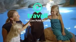 Sea Lion Point at Atlantis The Palm Hotel