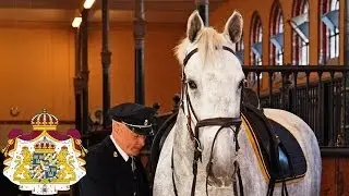Hovstallet - arbetsdagen