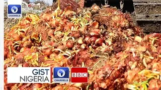 Addressing Nigeria&rsquo;s Post Harvest Waste And Food Inflation