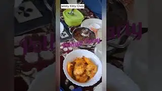 #kittypartyforladies #mistykittyclub #potluckparty