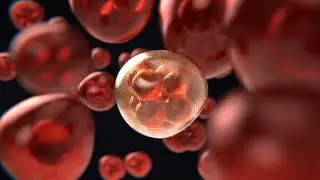 Treating Antibiotic Adverse Effects - Dr. Pieper book interview Part 1