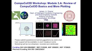 CC3D WS Module 3.A Review of Key CompuCell3D Multi-cell Concepts [James Glazier] August 3, 2003