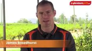 Explore Tours Perth - Swan Valley Wine Tours