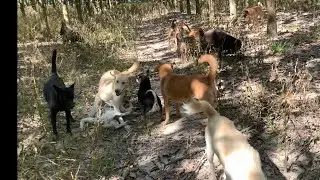 Em quay các bé ra vườn chơi Cô Chú xem vui nha!