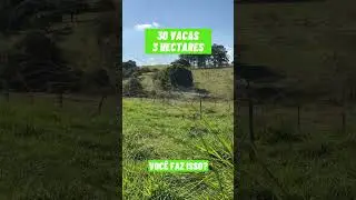 Projeto de irriga&ccedil;&atilde;o finalizado, 30 vacas em 3 hectares no pastejo rotacionado e irrigado #shorts