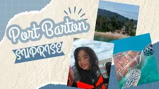 Turtle Dancing In Port Barton Palawan 