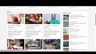 Magazine WordPress Website