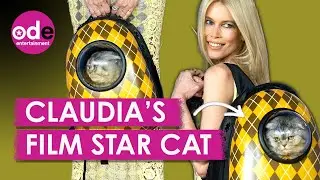 Claudia Schiffer's Cat Chip Stole Starring Role in Argylle!