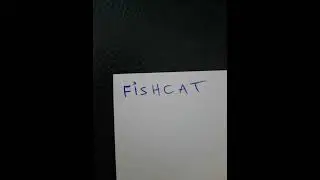 FISHCAT DA RAKAILLE MIX