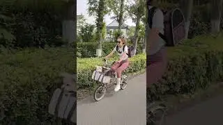 Bike with Your Pet Safely: Hands-Free Bicycle Carrier #ride #petcarrier #dogs #shorts
