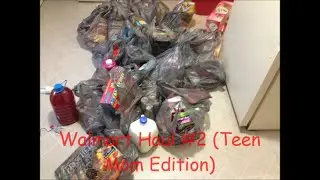 Walmart Grocery Haul Teen Mom Edition