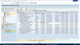 HOW TO WATCH  ORGANIZATION STRUCTRE,EMPLOYEE MAPPING & POSITION ID IN SAP