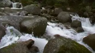 musica relajante de la naturaleza,relaxing music of nature,valle del jerte, cerezo en flor