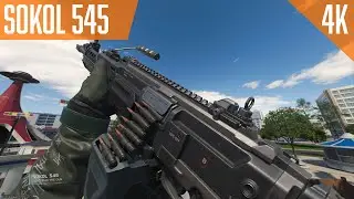 BO7 DLC Weapons: Sokol 545