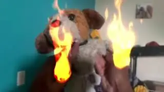 Test 7