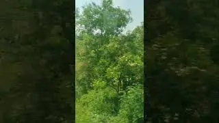 English Countryside from the train