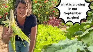 RuthAnn's September Garden 