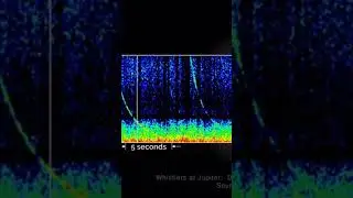 Jupiter thunderstorms sounds like this