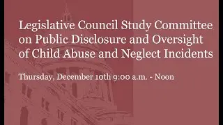 Study Committee on Public Disclosure & Oversight of Child Abuse & Neglect Incidents