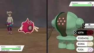 Pok&eacute;mon Sword/Shield - Auto Shiny Hunt Registeel