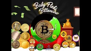 Baby Floki Billionaire