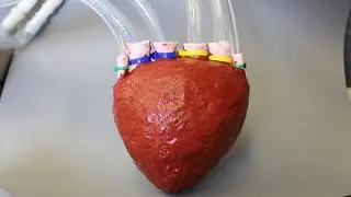 New materials to change the future: Artificial heart, thirsty concrete and more - Compilation